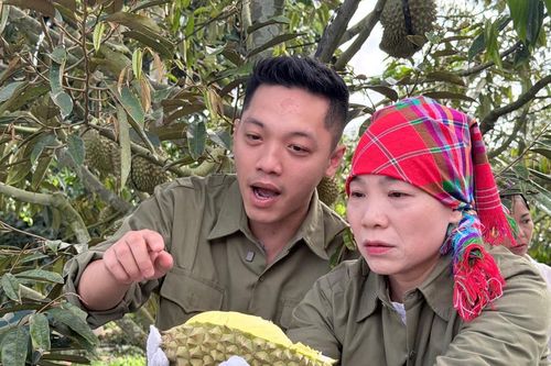 Đưa sầu riêng từ buôn làng Tây Nguyên đến người tiêu dùng qua thương mại điện tử