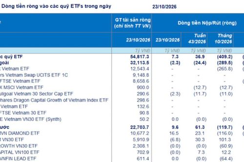 Dòng tiền ETF bất ngờ vào ròng mua cổ phiếu Việt Nam