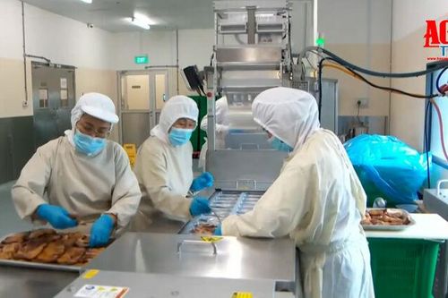 Singapore tiếp tục nâng tuổi nghỉ hưu
