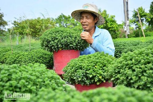 Ươm một mùa hoa