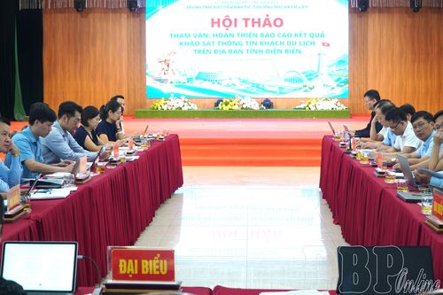 Tham vấn, hoàn thiện Báo cáo kết quả khảo sát thông tin khách du lịch