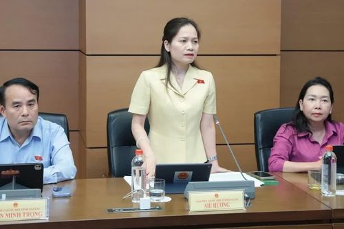 Hoàn thiện quy định về xử lý vi phạm hành chính và định danh điện tử