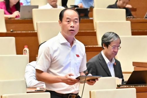 Khoan hồng có điều kiện đối với người tự nguyện nhận tội, chấp nhận hình phạt được đề nghị