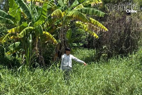 Khởi tố, bắt tạm giam 2 thanh niên chém người, gây rối ở khu dân cư