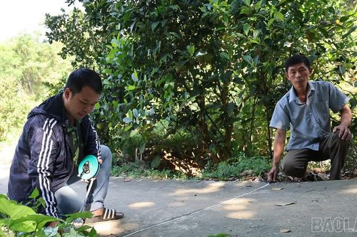 Bảo Thắng thành lập 4 tổ thống kê, kiểm đếm phục vụ giải phóng mặt bằng dự án đường sắt