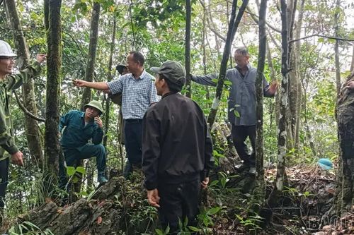Trung tâm Dịch vụ tổng hợp xã Sín Chéng phối hợp với thôn Mào Sao Chải hướng dẫn công tác bảo vệ rừng