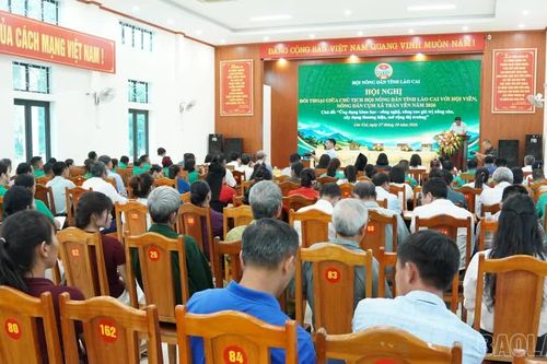 Chủ tịch Hội Nông dân tỉnh đối thoại với hội viên, nông dân cụm xã Trấn Yên