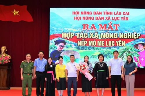 Ra mắt Hợp tác xã nông nghiệp nếp Mò Me Lục Yên