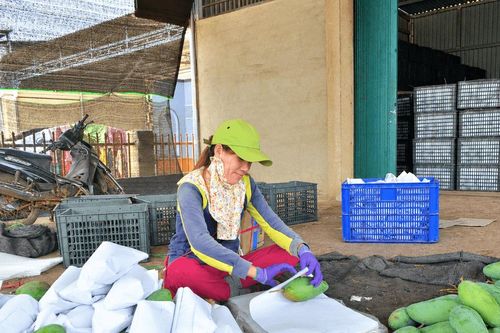 Thêm lực cho vùng nông nghiệp công nghệ cao phía Tây tỉnh