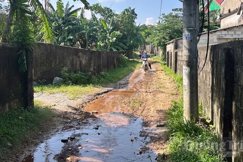 'Giám sát để thúc đẩy giải quyết'