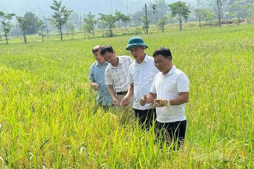 Từ quyết sách đúng đến chuyển biến thực chất
