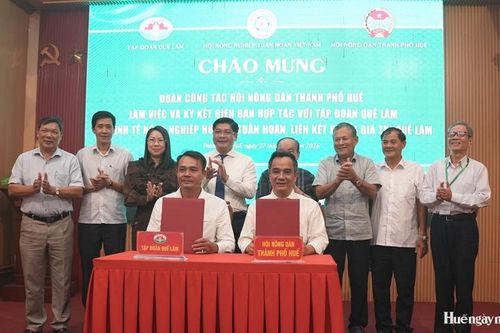 Liên kết phát triển nông nghiệp hữu cơ, tuần hoàn
