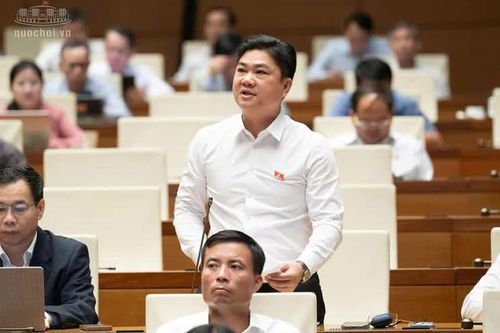 Nhiều đại biểu tán thành chính sách khoan hồng đối với người tự nguyện nhận tội