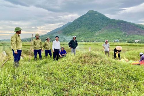 Hà Tĩnh: Đẩy mạnh quy tập, di dời mồ mả, tạo quỹ đất phát triển hạ tầng, giao thông đô thị