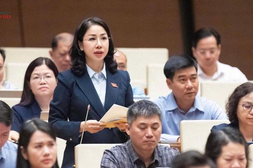 Không lấy chức danh làm căn cứ duy nhất quy trách nhiệm hình sự