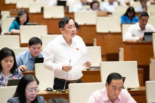 Mở rộng cơ chế miễn trừ rủi ro trong đổi mới sáng tạo, thúc đẩy kinh tế số