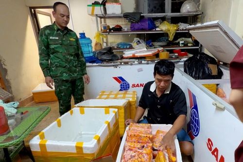 Triệt phá đường dây buôn lậu trứng gà non 'bẩn' qua biên giới