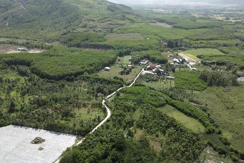 Phú Thọ chuyển đổi hơn 56 ha rừng làm khu nhà ở và đường giao thông