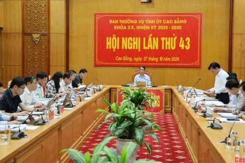 Hội nghị Ban Thường vụ Tỉnh ủy lần thứ 43