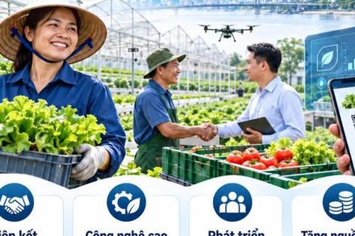 TP.HCM đặt mục tiêu 50% hợp tác xã nông nghiệp liên kết doanh nghiệp