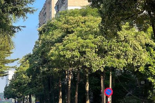 Hà Nội ngày nắng, đêm không mưa