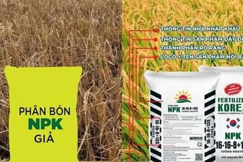 Cách nào chặn phân bón giả, kém chất lượng?