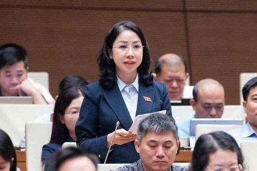 ĐBQH hiến kế chặn lừa đảo qua mạng từ khâu chuẩn bị