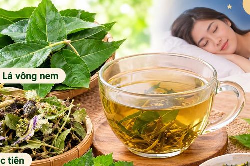 4 bài thuốc từ lá vông nem chữa mất ngủ