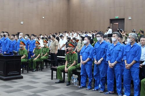 Kịch bản 'hoàn hảo' của Mr Pips khiến hàng nghìn người mắc bẫy 'lừa đảo'