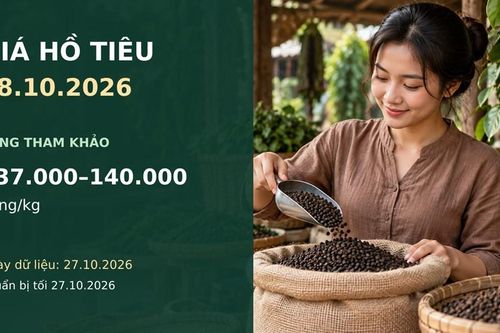 Giá hồ tiêu hôm nay 28.10.2026 và triển vọng phiên giao dịch mới