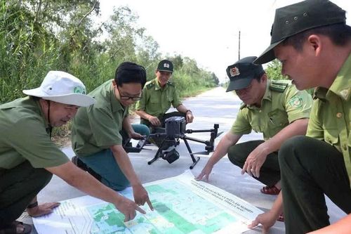 Ứng dụng công nghệ số bảo vệ rừng