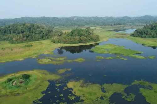 'Vietnam Wild Live' mùa 2 mở hành trình khám phá Vườn quốc gia Cát Tiên