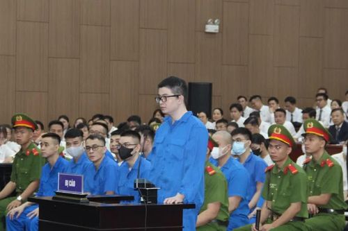 Mr Pips thừa nhận các sàn giao dịch của công ty đều là lừa đảo