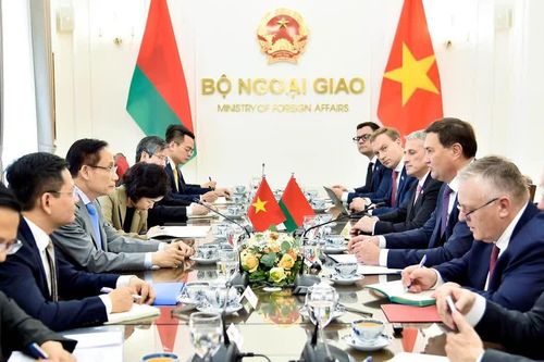 Bộ trưởng Ngoại giao Lê Hoài Trung hội đàm với Bộ trưởng Ngoại giao Cộng hòa Belarus