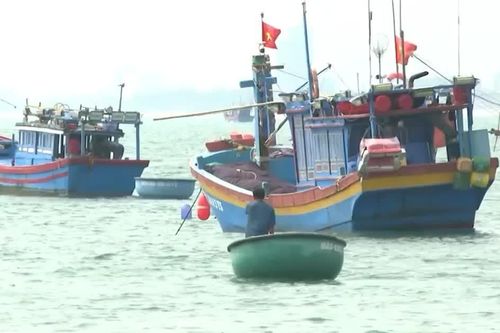 [Video] 13 tỉnh ven biển ứng phó gió giật cấp 9, sóng cao 4m