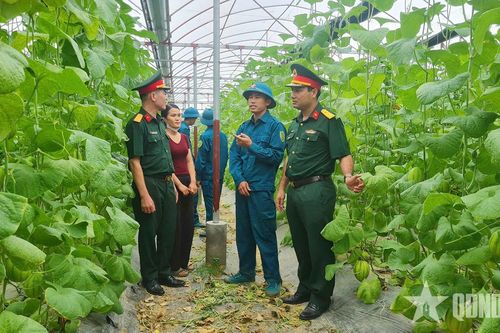 Thư về tòa soạn: Chiến sĩ dân quân làm kinh tế giỏi