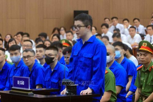 Vụ án Mr Pips: Hé lộ thủ đoạn thao túng tài khoản nhà đầu tư