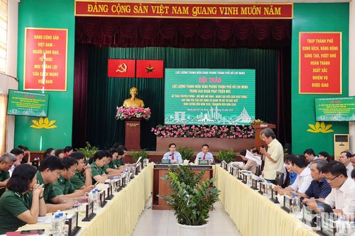 TP Hồ Chí Minh: Phát triển lực lượng thanh niên xung phong gắn với đô thị đặc biệt