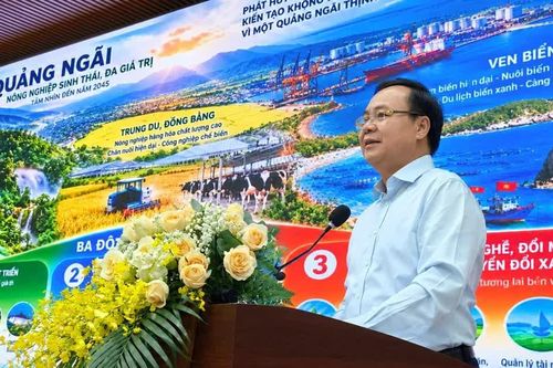 Quảng Ngãi cần tái cấu trúc không gian phát triển, khơi thông nguồn lực
