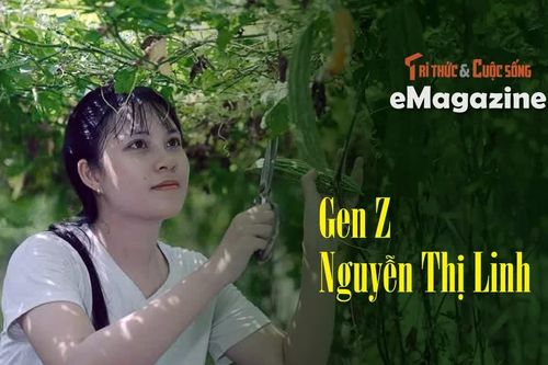 Gen Z Nguyễn Thị Linh lưu giữ hồn quê qua video