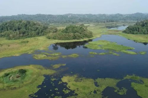 'Vietnam Wild Live' trở lại với hành trình khám phá thiên nhiên