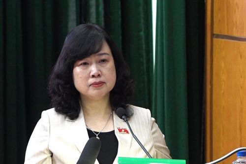 Bộ trưởng Đào Hồng Lan: Dự thảo được xây dựng trên nguyên tắc tự nguyện, không ép buộc bất kỳ ai