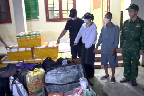 Triệt phá đường dây vận chuyển trái phép hơn 700 kg trứng gà non