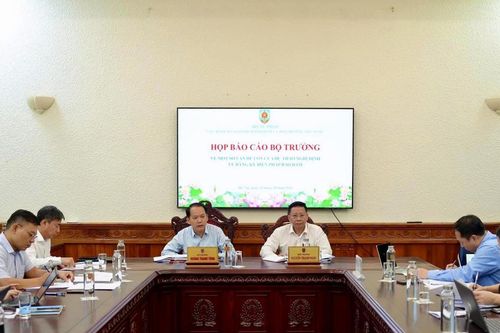 Khẩn trương hoàn thiện dự thảo Nghị định về đăng ký biện pháp bảo đảm