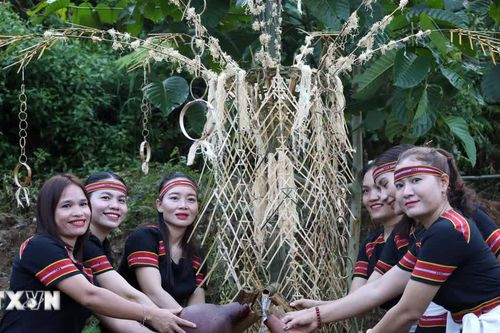 Lễ cúng máng nước của người M'Nông: Nét văn hóa gắn với rừng và nguồn nước