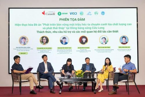 Thúc đẩy doanh nghiệp và nông dân liên kết sản xuất lúa gạo chất lượng cao