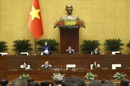 Quốc hội thảo luận về các dự án luật kinh tế - thương mại - tài chính