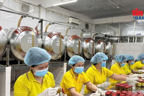 Khơi thông nguồn lực đảng viên làm kinh tế -Bài cuối: Cần gắn với liêm chính và trách nhiệm