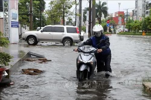 Mưa lớn kết hợp triều cường gây ngập nặng tại Cà Mau