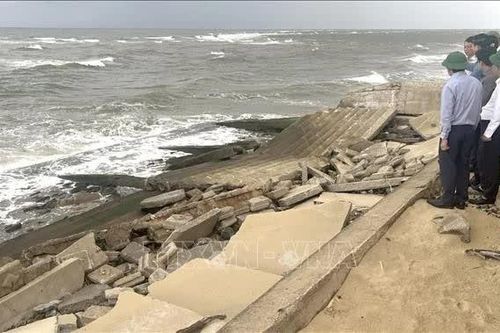 Quảng Trị tìm giải pháp bảo vệ, phục hồi hai bãi biển trước nguy cơ xâm thực